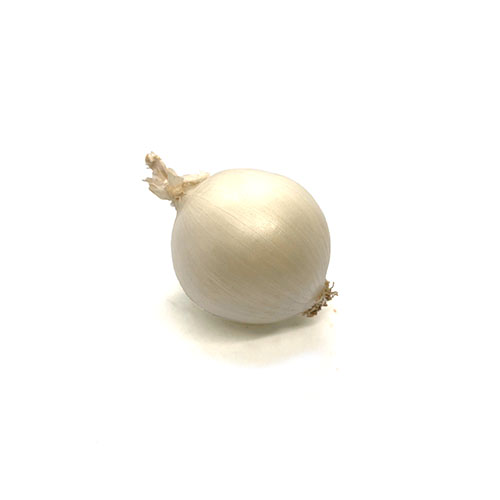 White onion