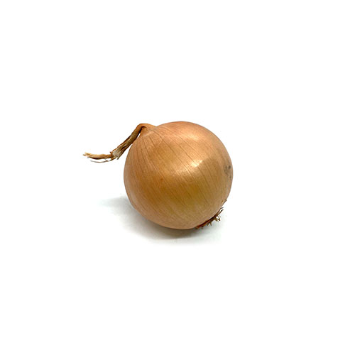 Yellow onion